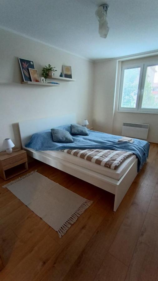 סובוטיקה Apartman Taca מראה חיצוני תמונה