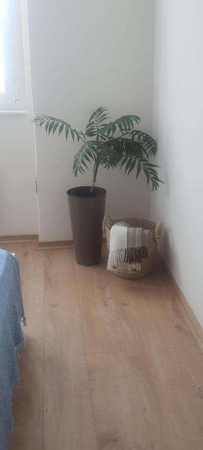 סובוטיקה Apartman Taca מראה חיצוני תמונה
